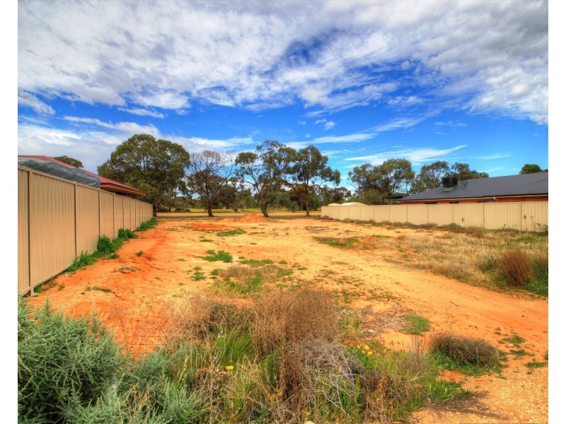 206 Nookamka Terrace, Barmera SA 5345
