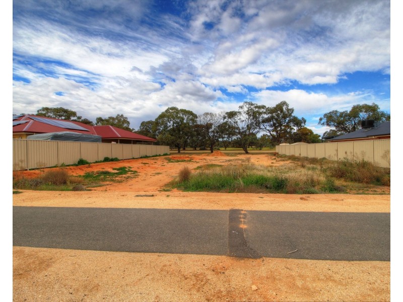 206 Nookamka Terrace, Barmera SA 5345