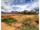 206 Nookamka Terrace, Barmera SA 5345