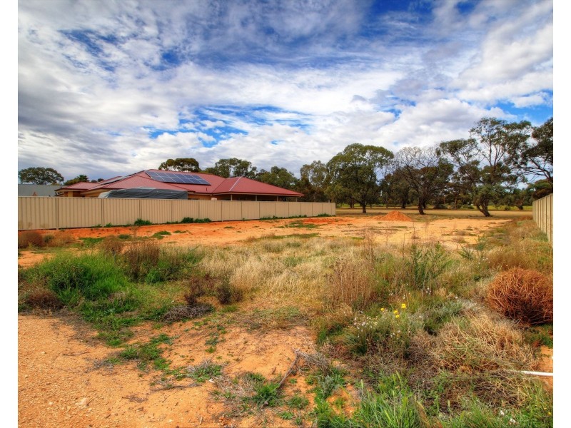 206 Nookamka Terrace, Barmera SA 5345