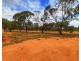 206 Nookamka Terrace, Barmera SA 5345