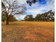 206 Nookamka Terrace, Barmera SA 5345