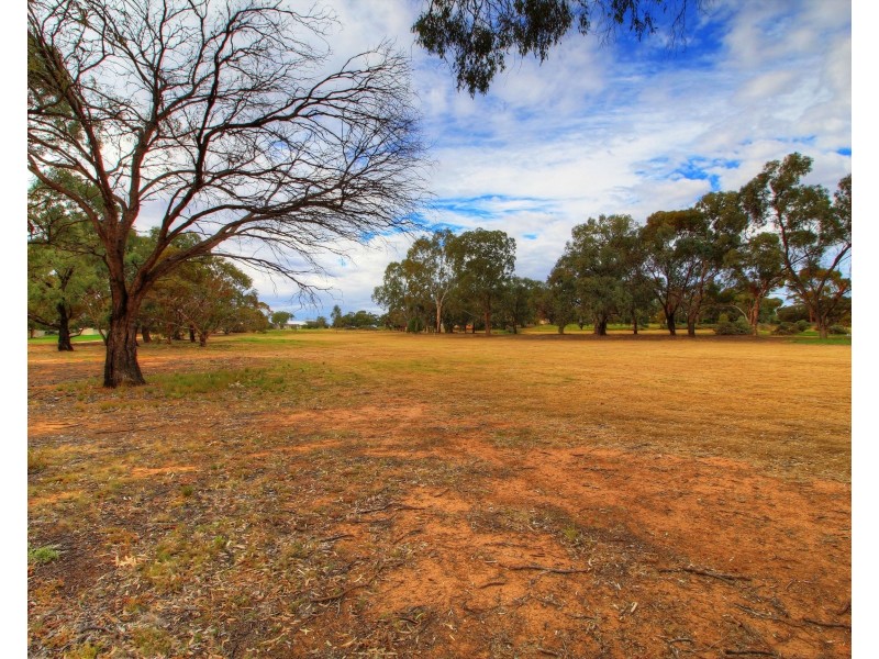 206 Nookamka Terrace, Barmera SA 5345