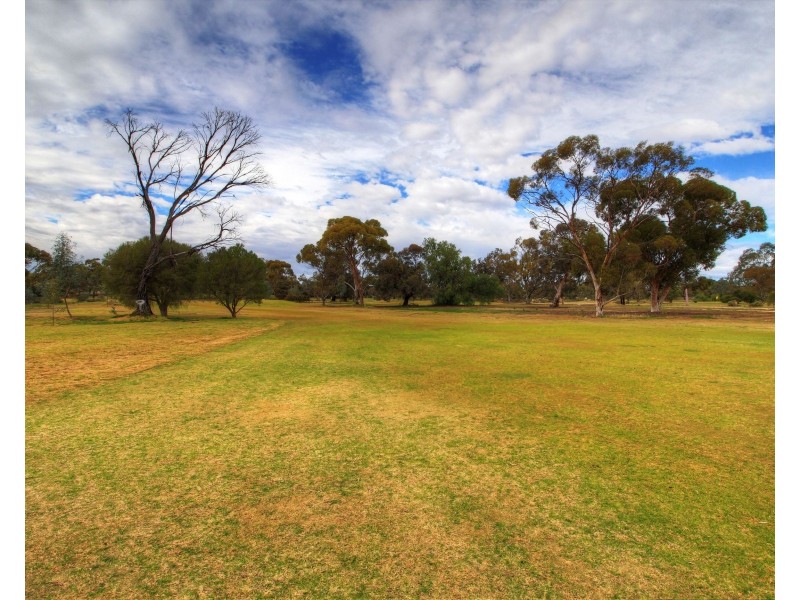 206 Nookamka Terrace, Barmera SA 5345