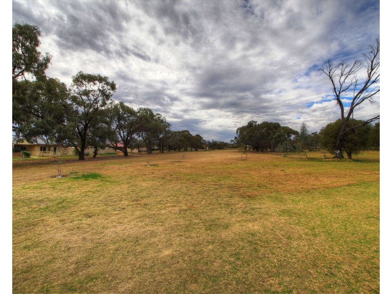 206 Nookamka Terrace, Barmera SA 5345