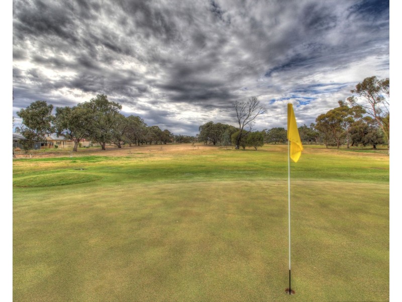 206 Nookamka Terrace, Barmera SA 5345