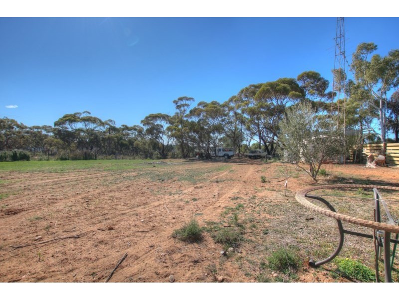 33 Bray Road, Glossop SA 5344