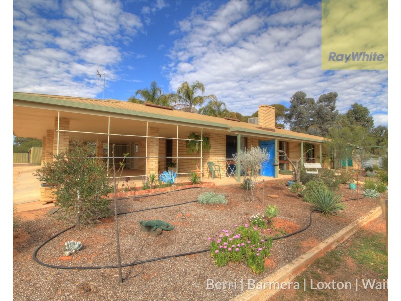 173 Evans Road, Barmera SA 5345