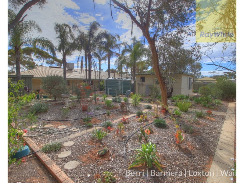 173 Evans Road, Barmera SA 5345