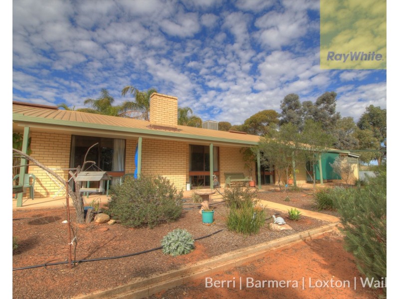 173 Evans Road, Barmera SA 5345