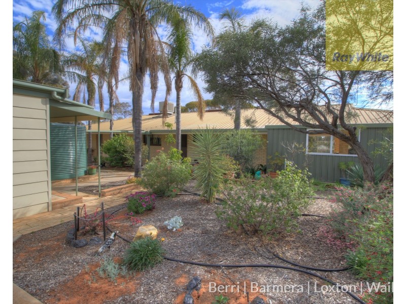 173 Evans Road, Barmera SA 5345