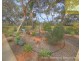 173 Evans Road, Barmera SA 5345