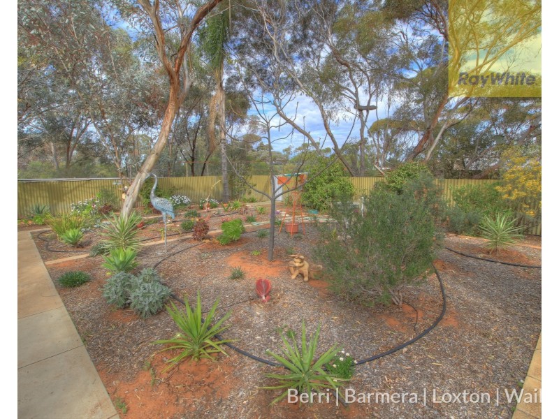 173 Evans Road, Barmera SA 5345