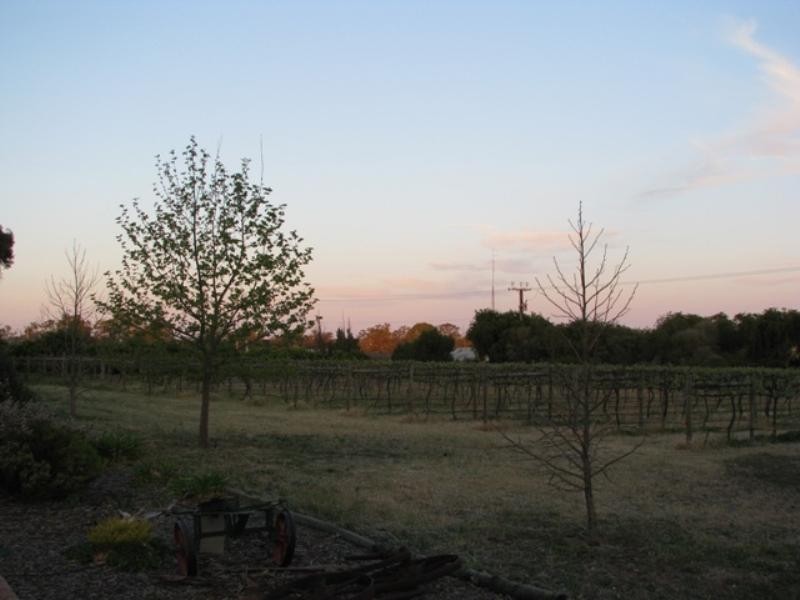 Lot 2 Fenwick Road, Berri SA 5343