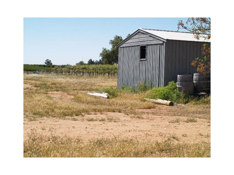 Sec 789 Frisby Lane, Waikerie SA 5330