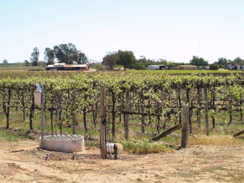 Sec 789 Frisby Lane, Waikerie SA 5330