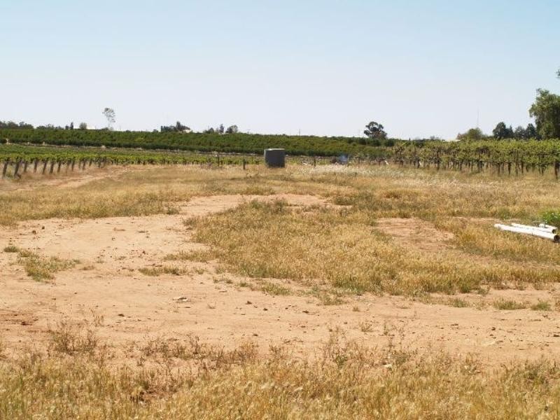 Sec 789 Frisby Lane, Waikerie SA 5330