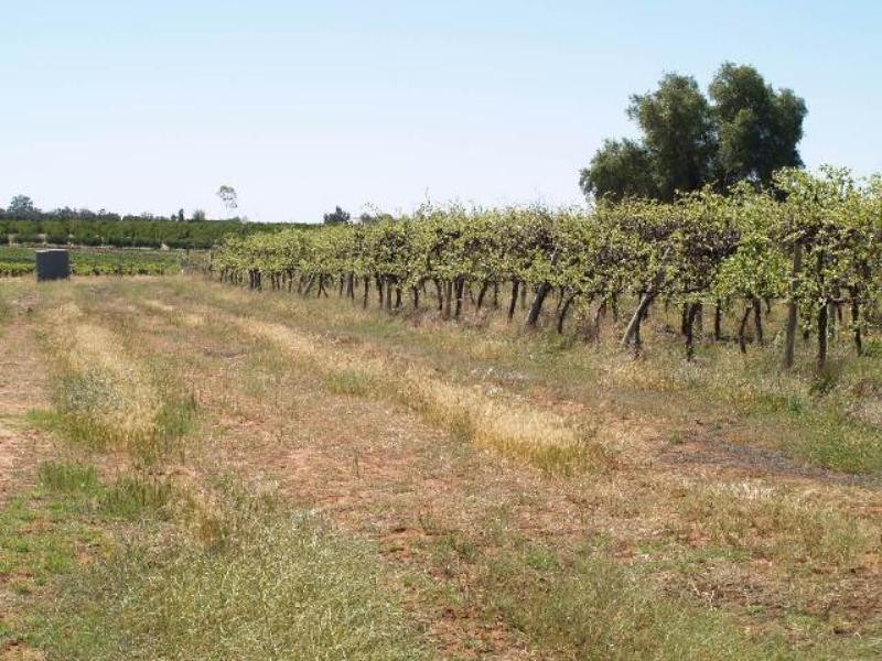 Sec 789 Frisby Lane, Waikerie SA 5330