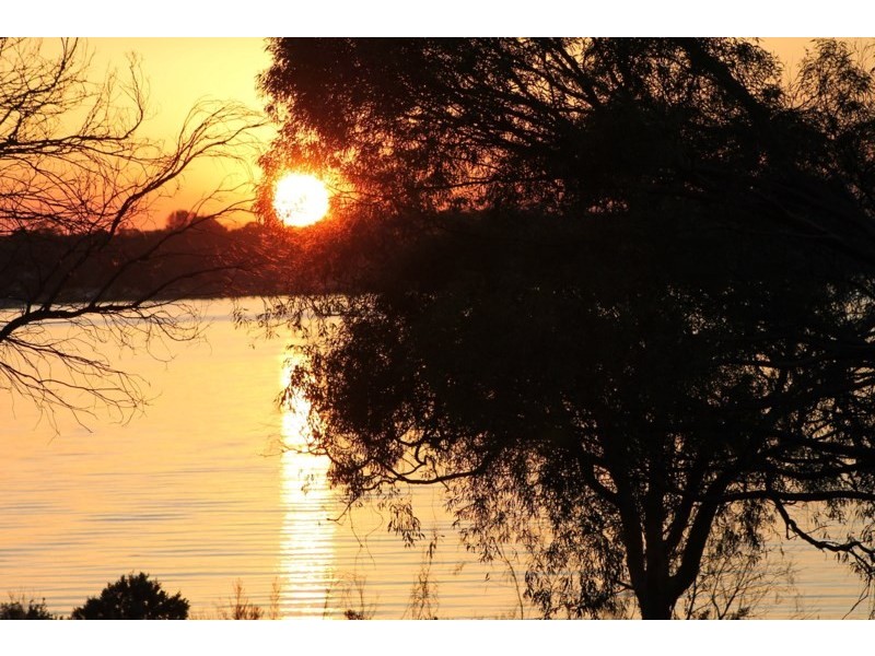 17 Queen Elizabeth Drive, Barmera SA 5345