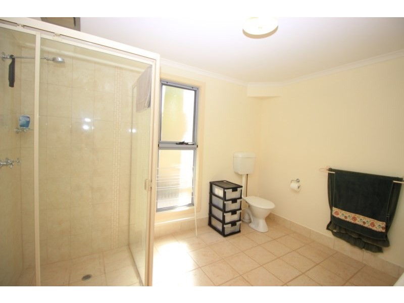 44 Echidna Avenue, Morgan SA 5320