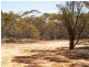 Sec 169 Railway Terrace, Waikerie SA 5330