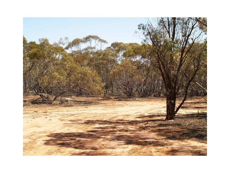 Sec 169 Railway Terrace, Waikerie SA 5330