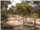 Sec 169 Railway Terrace, Waikerie SA 5330