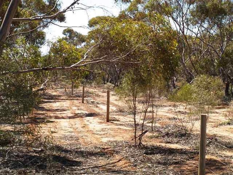 Sec 169 Railway Terrace, Waikerie SA 5330