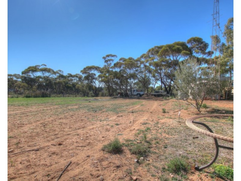 33 Bray Road Glossop, Berri SA 5343