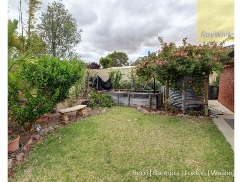 3 Ian Drive, Paringa SA 5340