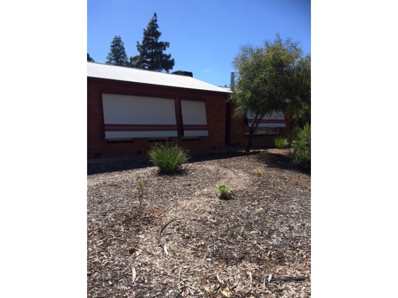 12 Kurrajong Avenue, Renmark SA 5341