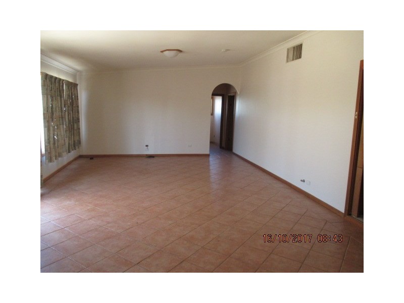 62 Renfrey Road, Barmera SA 5345