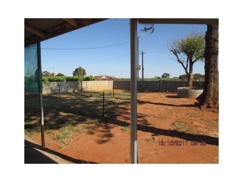 62 Renfrey Road, Barmera SA 5345