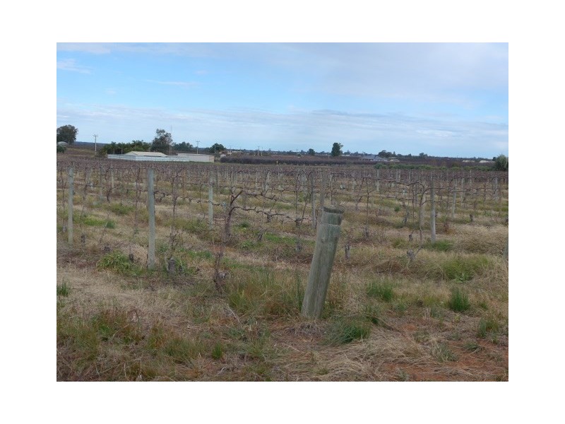 885 Old Sturt Highway, Berri SA 5343