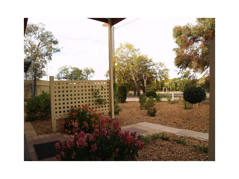 33 Isaacson Street, Waikerie SA 5330