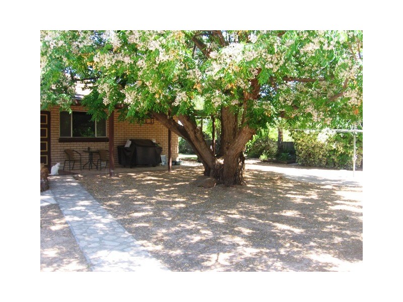 Sect 405 Woolston Road, Berri SA 5343