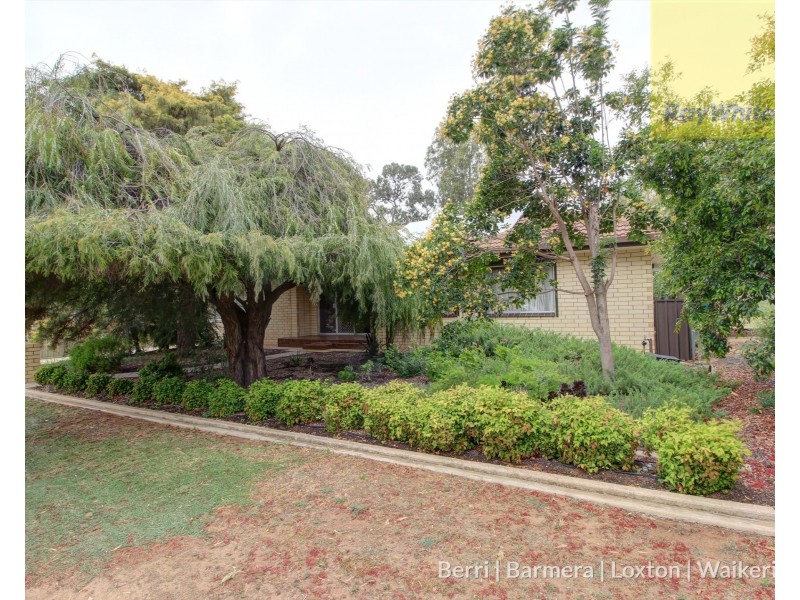 183 Thurk Street, Renmark SA 5341