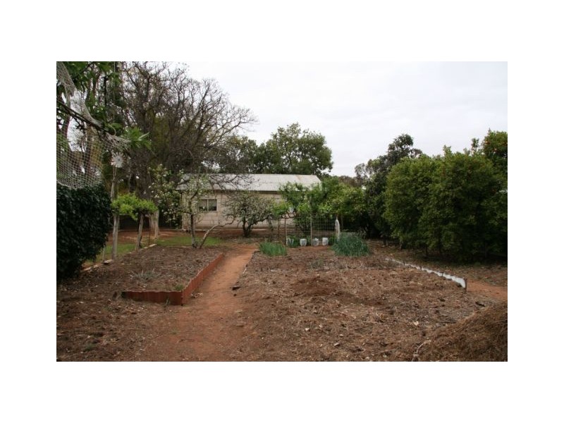 60 Tobruk Terrace, Loxton SA 5333