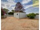 53 Tonkin Avenue, Barmera SA 5345