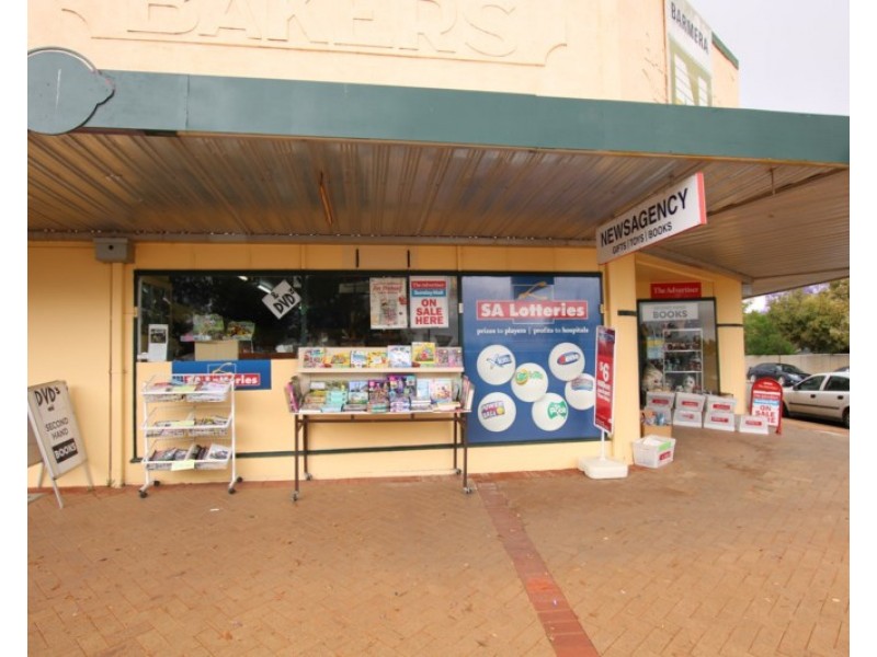 28 Barwell Avenue, Barmera SA 5345