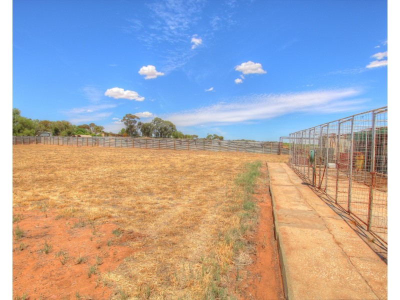 19 Loxton Drive, Moorook SA 5332