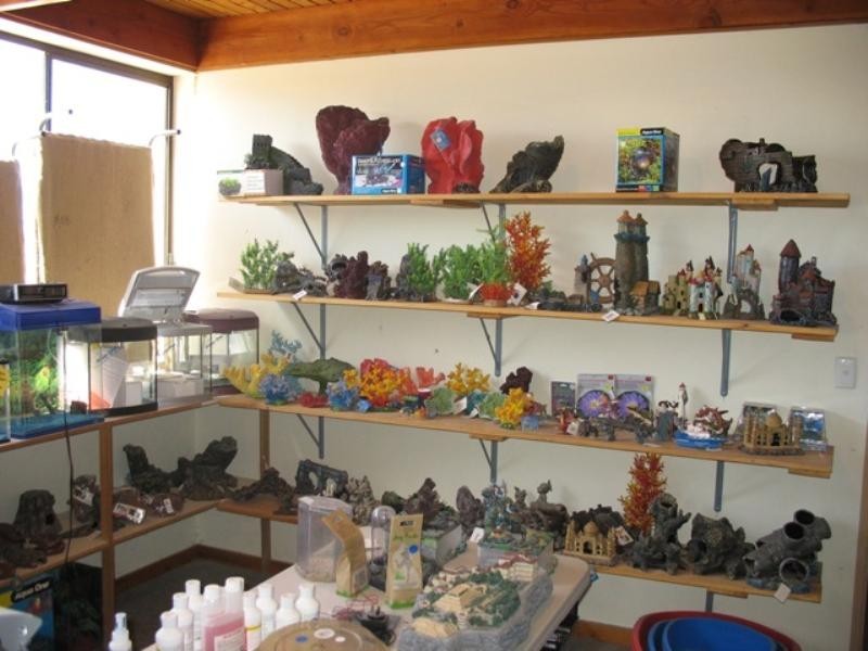 0 Sturt Highway, Glossop SA 5344