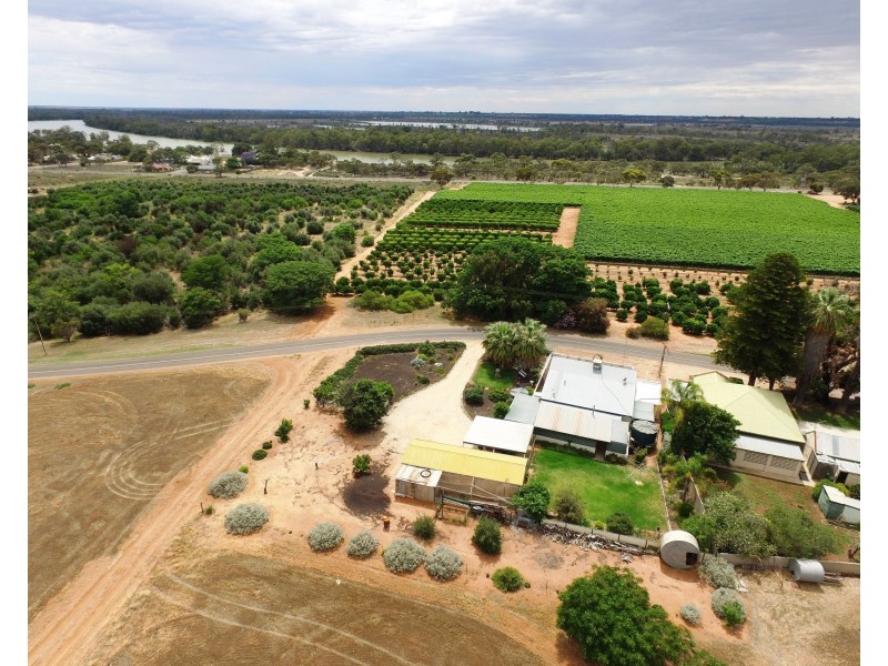 81 Loxton Drive, Moorook SA 5332