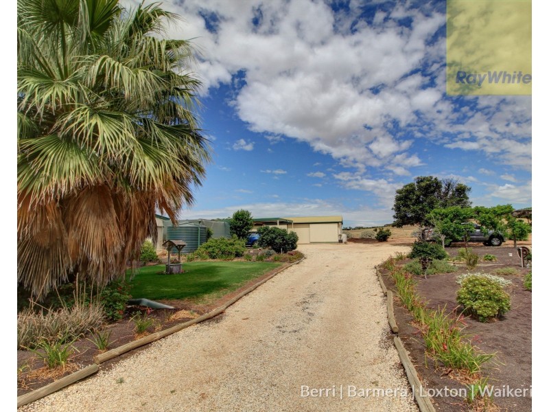 81 Loxton Drive, Moorook SA 5332