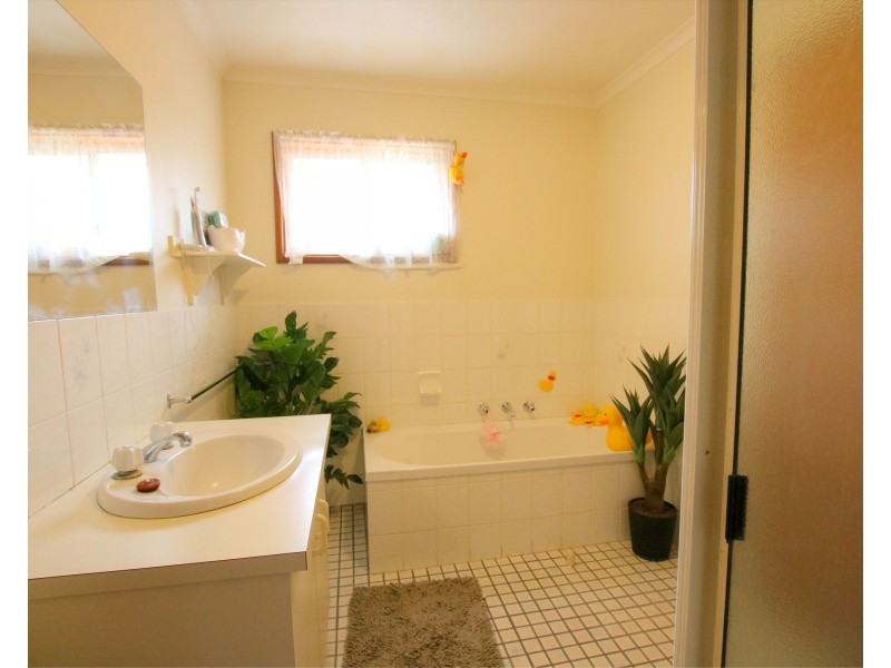 15 Phillips Road, Berri SA 5343