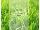 Lot 16 Ral Ral Avenue, Renmark SA 5341