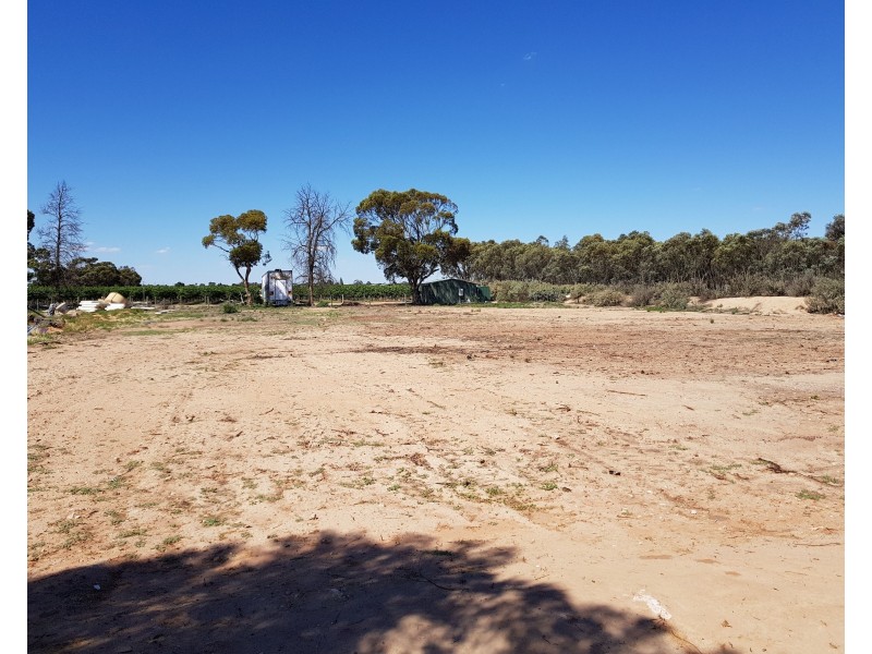 Lot 16 Ral Ral Avenue, Renmark SA 5341