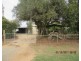 1540 Bookpurnong Road, Loxton North SA 5333