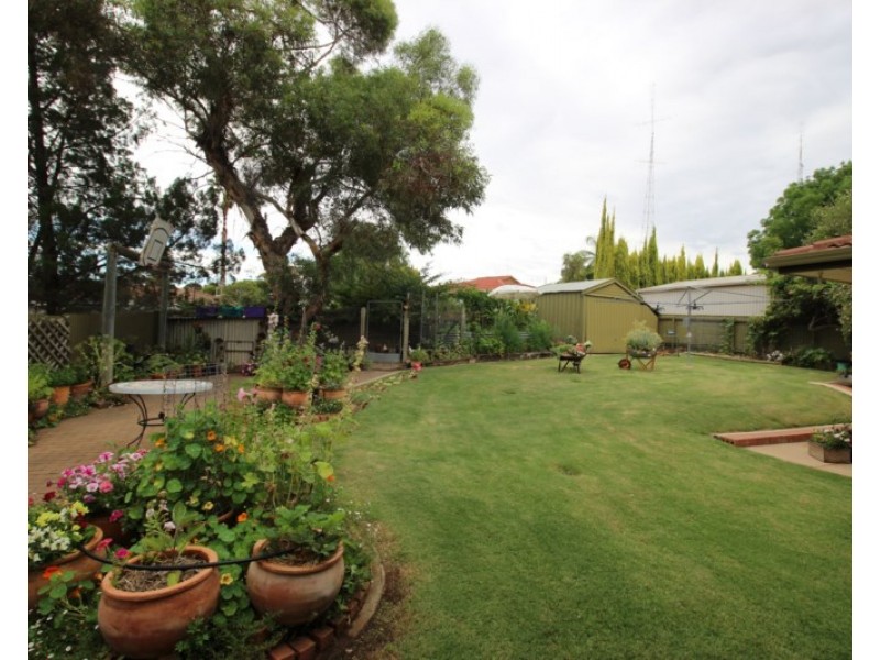 6 Webber Street, Waikerie SA 5330