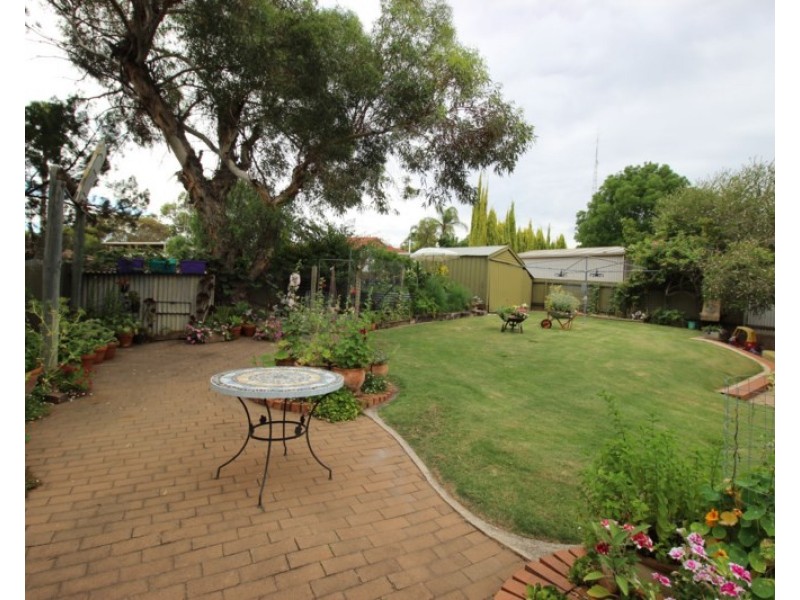 6 Webber Street, Waikerie SA 5330